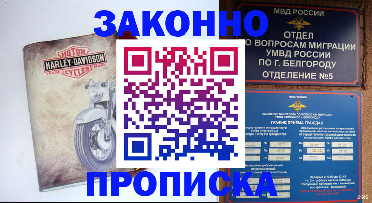 прописка для школы в Старом Осколе
